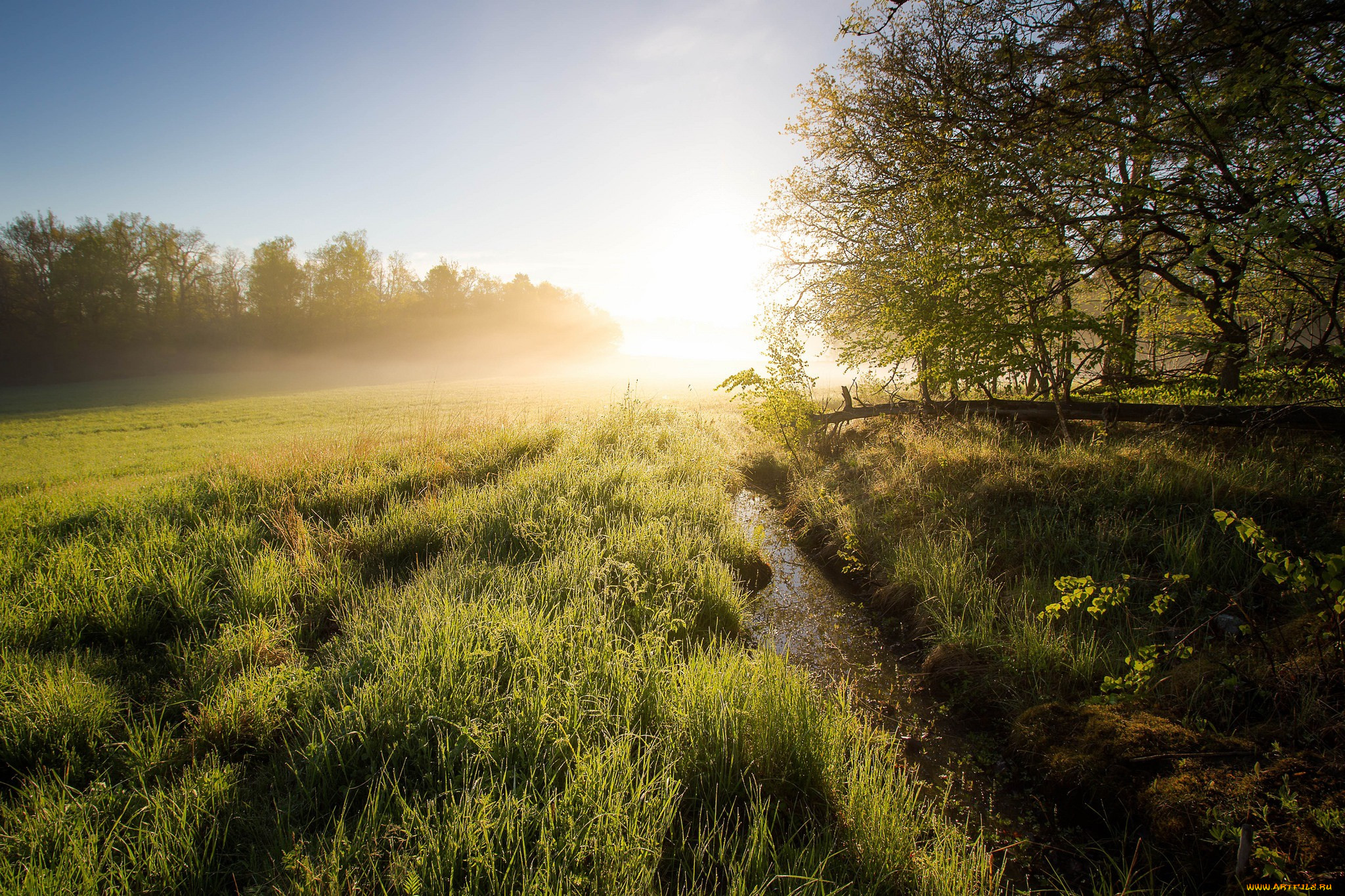 , , , ruissalo, finland, , turku, proper, , 